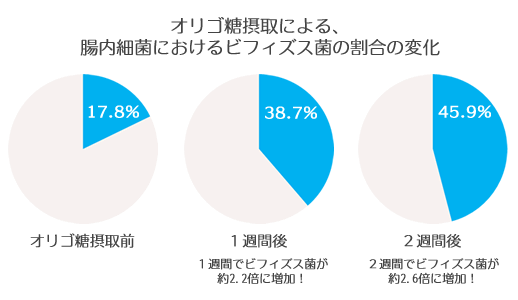 オリゴ糖摂取による、腸内環境におけるビフィズス菌の変化